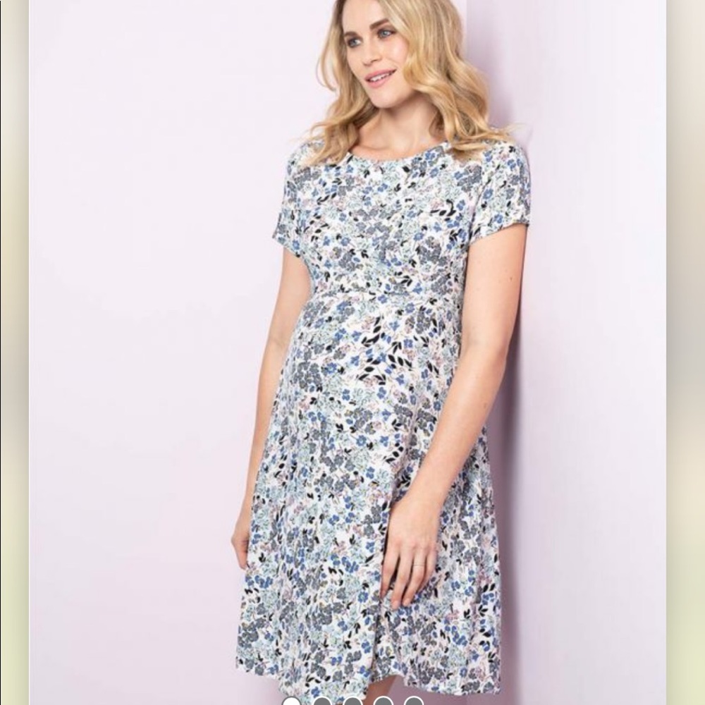 Seraphine Maternity Dress